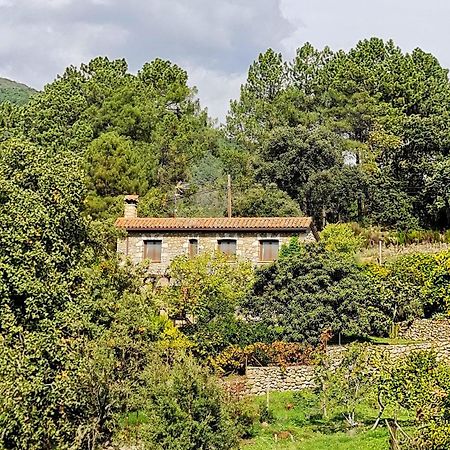 Casa Rural en Candeleda con piscina y un maravilloso jardín Exterior foto