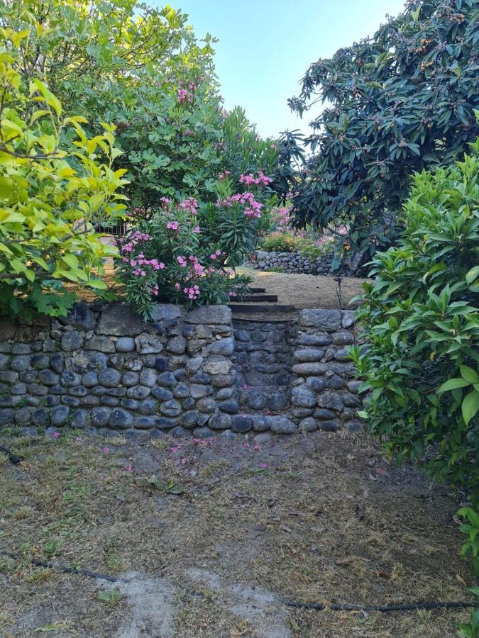 Casa Rural en Candeleda con piscina y un maravilloso jardín Exterior foto