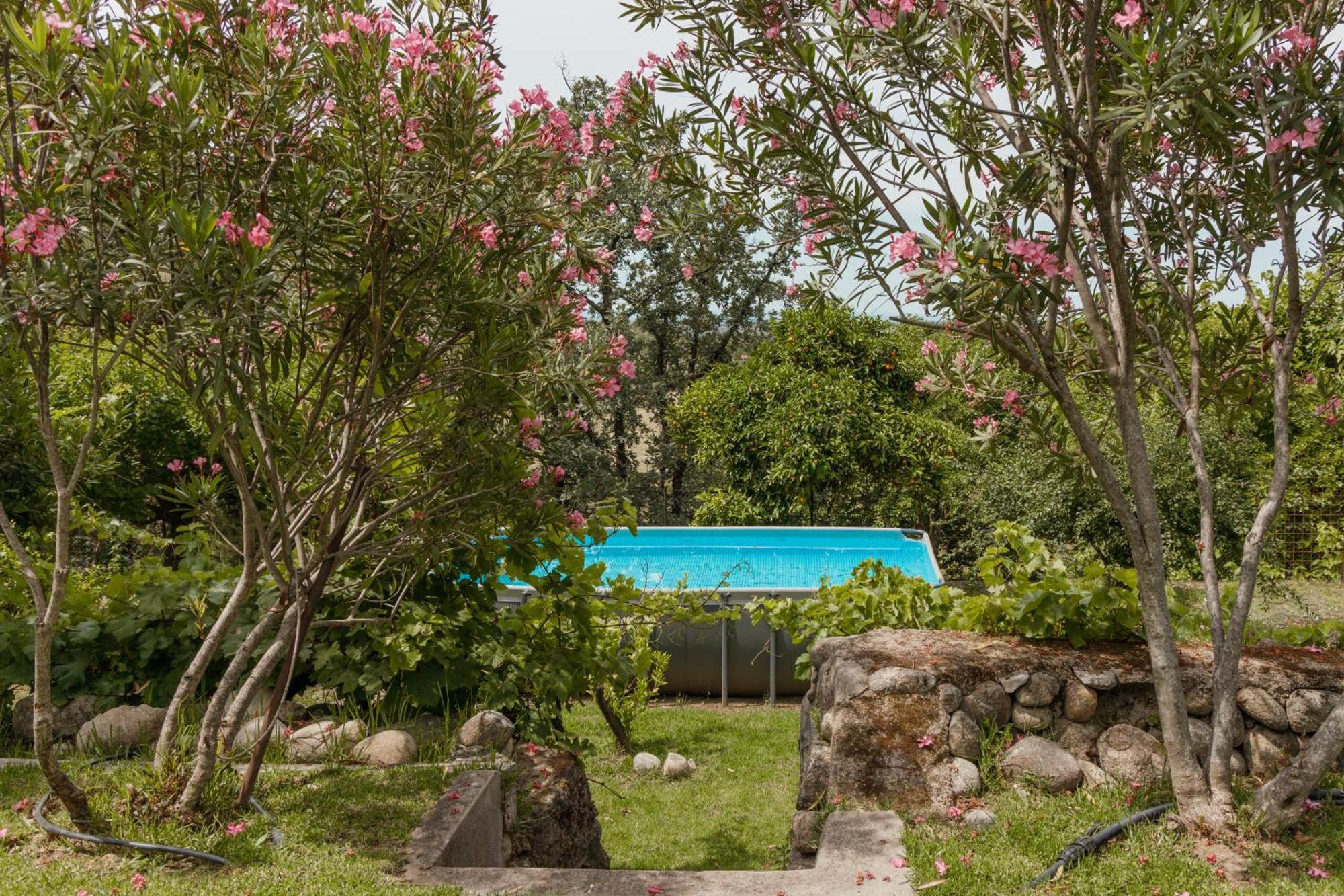 Casa Rural en Candeleda con piscina y un maravilloso jardín Exterior foto